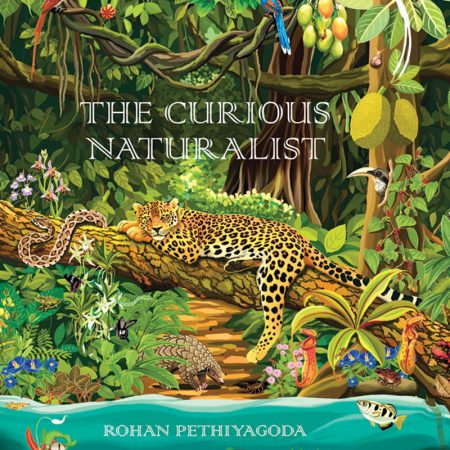 The curious naturalist