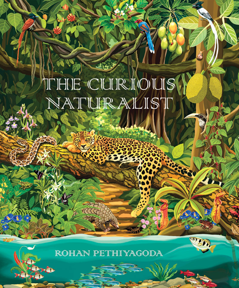 The curious naturalist